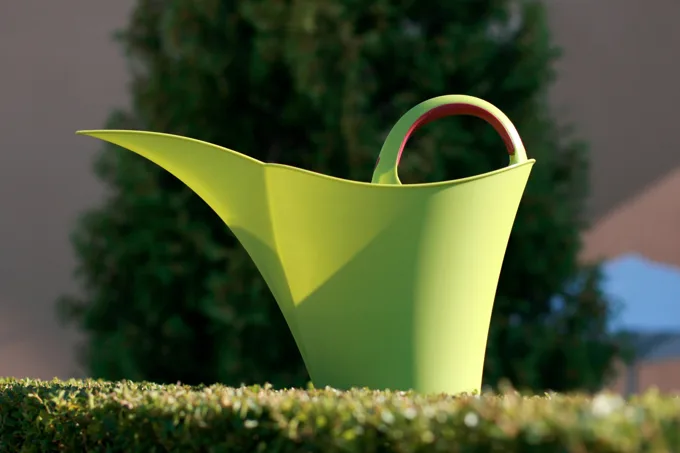 Green, 5 L