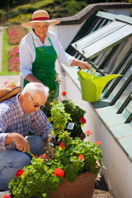 Balcony planting
